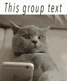 Guy never texts me?