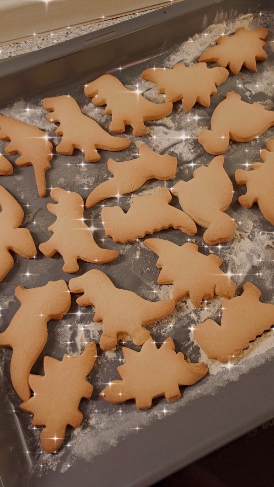 Do you or anyone in your family bake any Christmas cookies or other pastries?