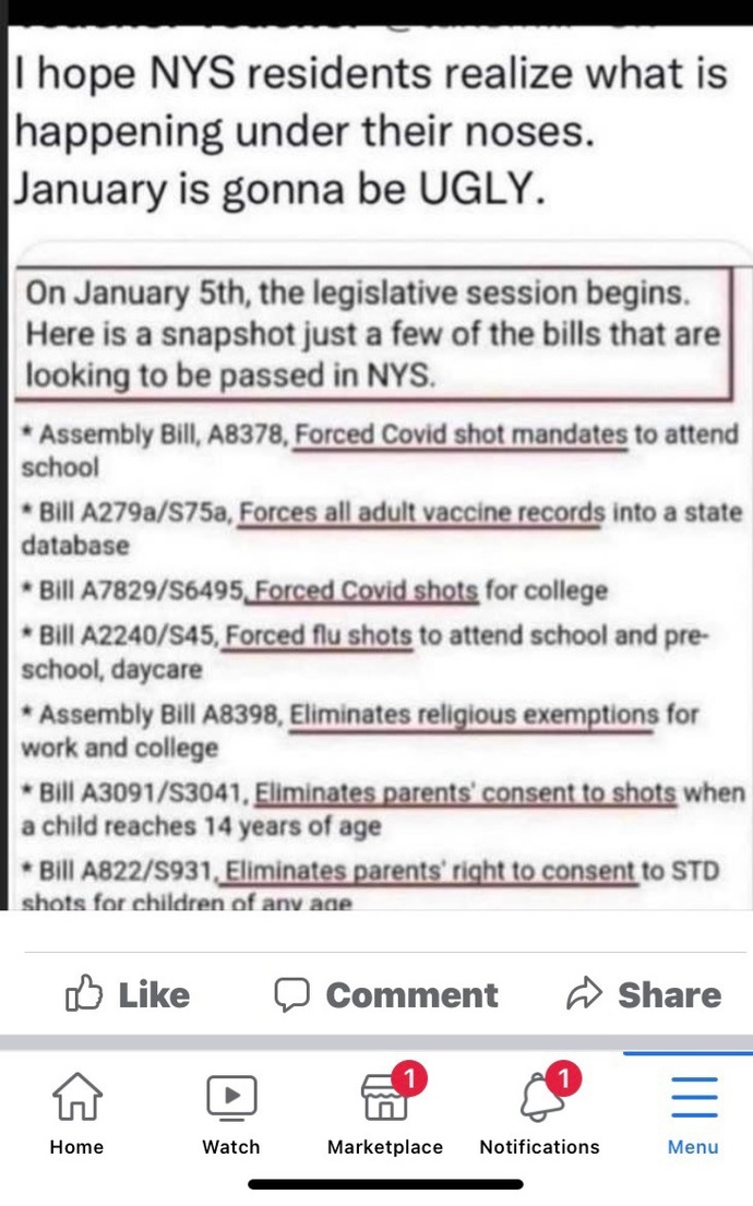 I am curious about what new laws will be implemented in my State as well as nationally on Jan.1st. Are you curious, or do you already know of some?