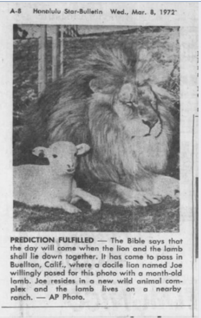 Is it Wolf or Lion with the Lamb?