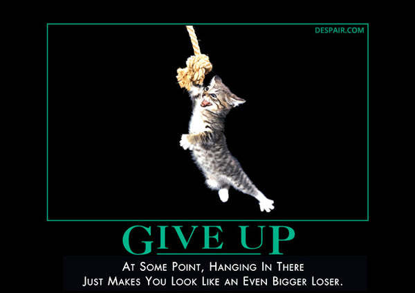 Do you think posters, frames, images on walls are good enough to keep a person motivated? In their study room?