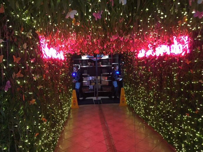 Interesting hallway of ivy plants on route to the restroom in this restaurant