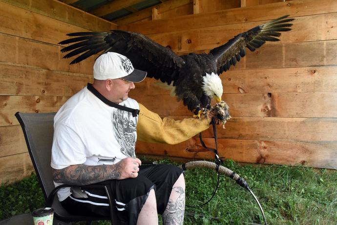 Train it to hunt wild Big Macs while you shoot off fireworks, and it'll be the most American activity EVER!