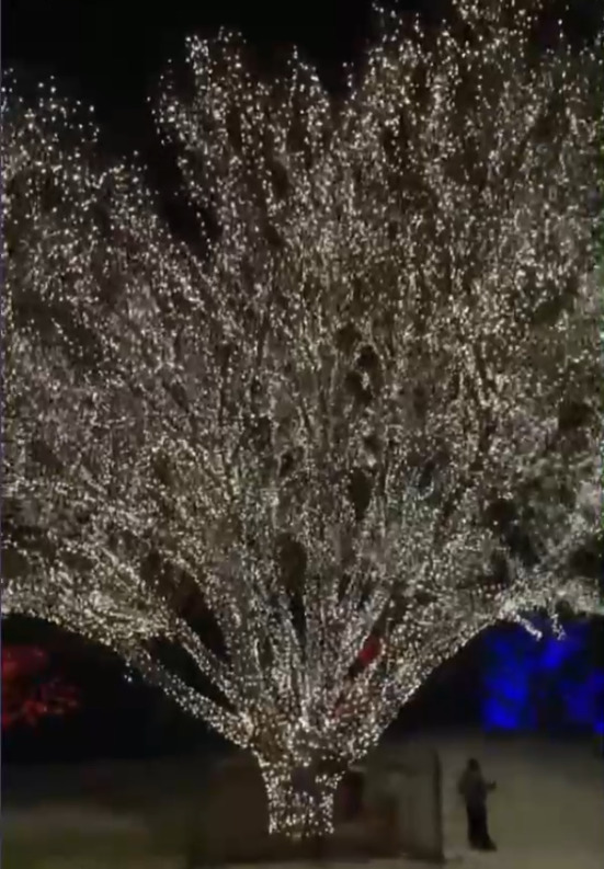 Does your neighborhood have Christmas light's?