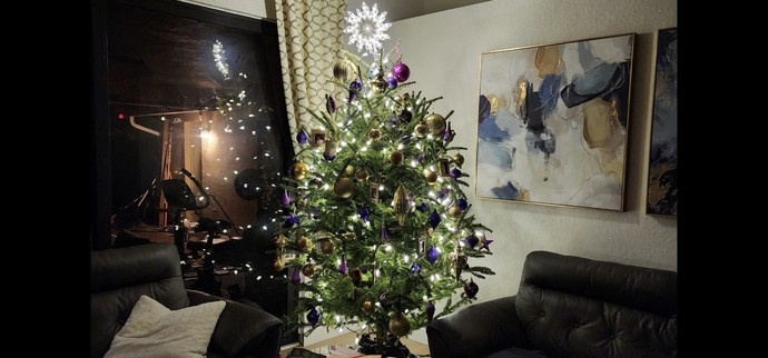 Does your neighborhood have Christmas light's?