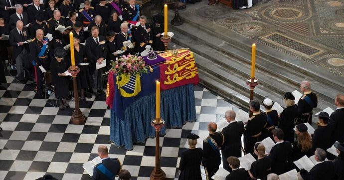 Which nose type do you like more?