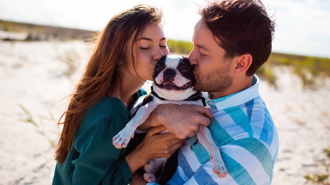 Would you want to adopt a dog with your partner? If so, what breed?