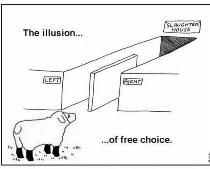 Where On The Political Spectrum Are You And Why?