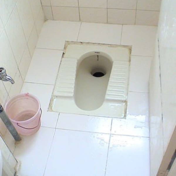 Is it true other countries don't use toilet seat covers?