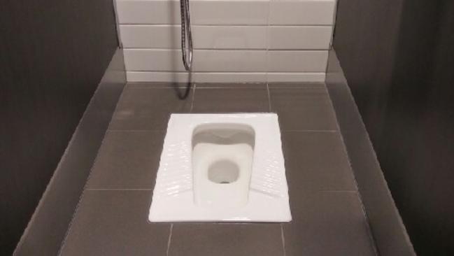 Is it true other countries don't use toilet seat covers?