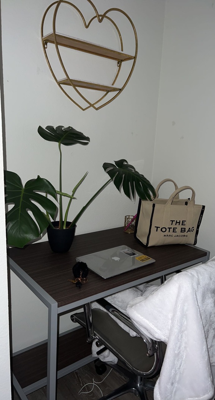 My study area