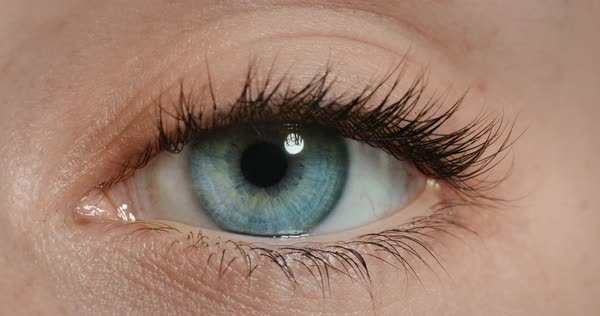 Which is your favorite eye color?