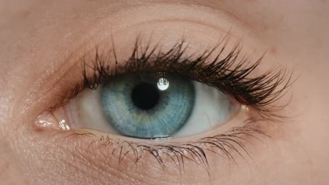 Which is your favorite eye color?