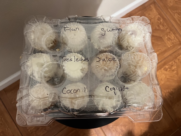 Do these cupcakes I had delivered from NY look good?
