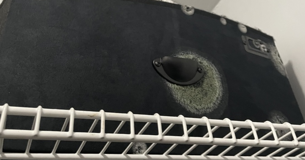 HELP WHY IS THERE MOLD IN MY HOUSE? Sexuality