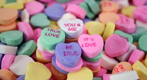 What are some qualities your partner must possess?