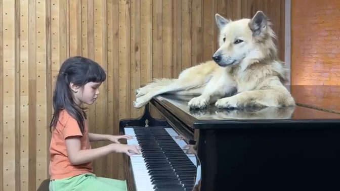 Could this be the most wholesome thing you can ever see on the internet?