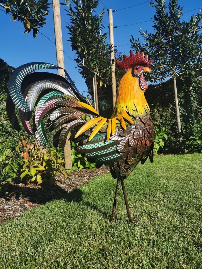 Large 34 inch cock 