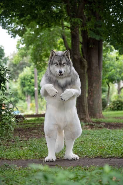 What would you do with a realistic wolf suit?