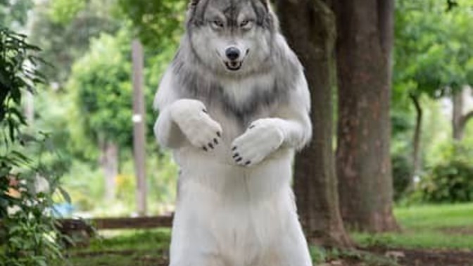What would you do with a realistic wolf suit?