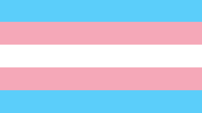 Why are there very many trans-girls but few trans-men?