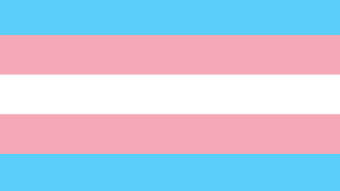 Why are there very many trans-girls but few trans-men?