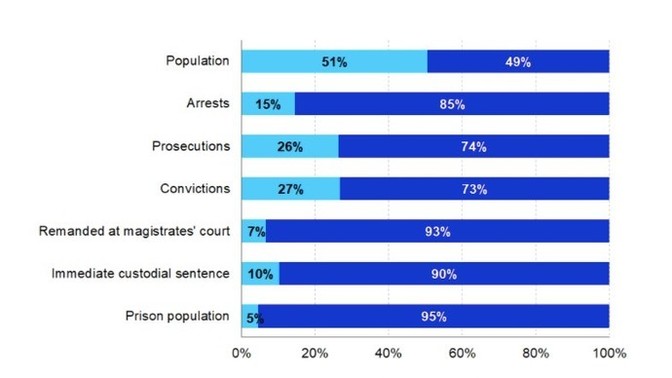 See statistics graph below: Agree or disagree: Men are dangerous and the cause of majority or all violent crimes?