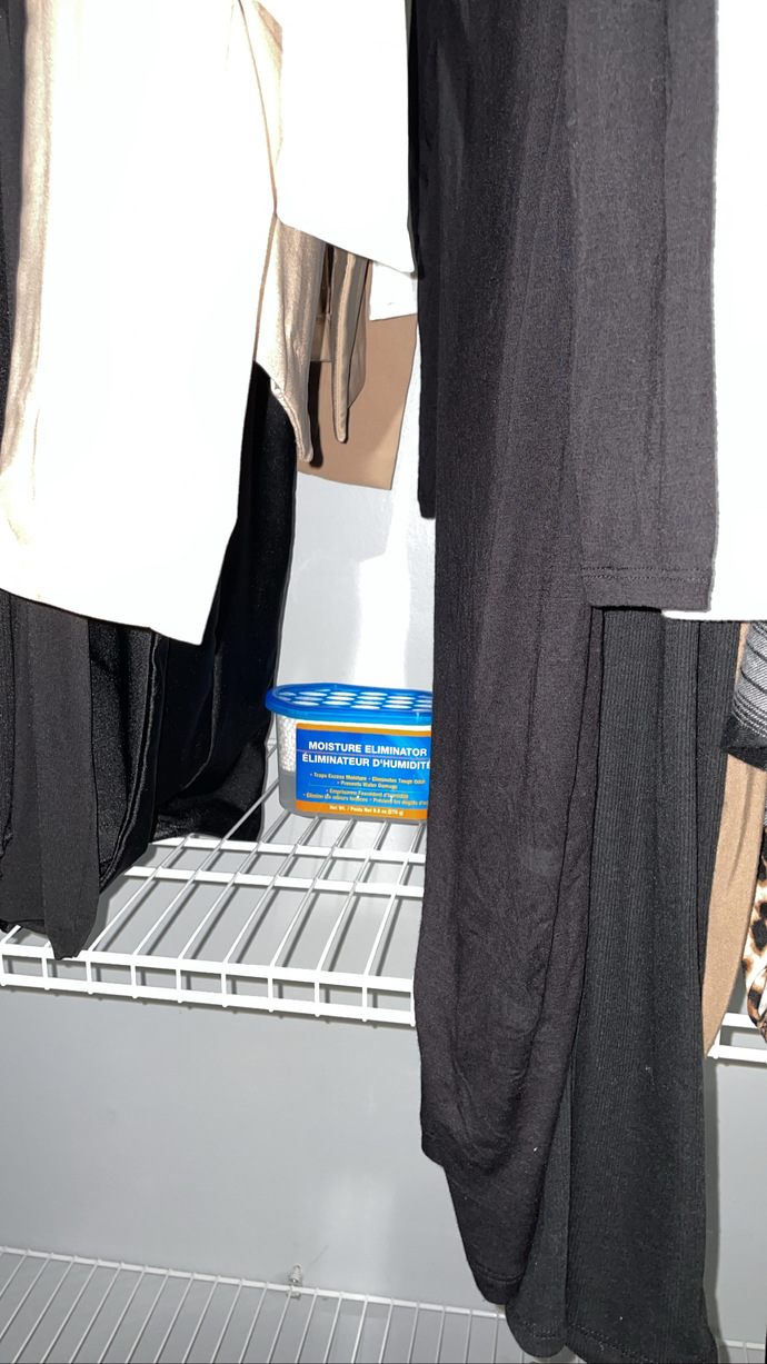 HELP HOW DO I REMOVE MOLD & WET MOISTURE FROM THE CLOSET?