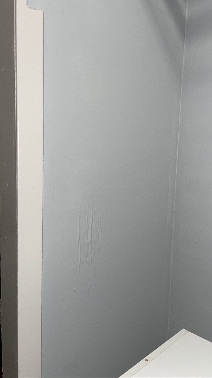 HELP HOW DO I REMOVE MOLD & WET MOISTURE FROM THE CLOSET?