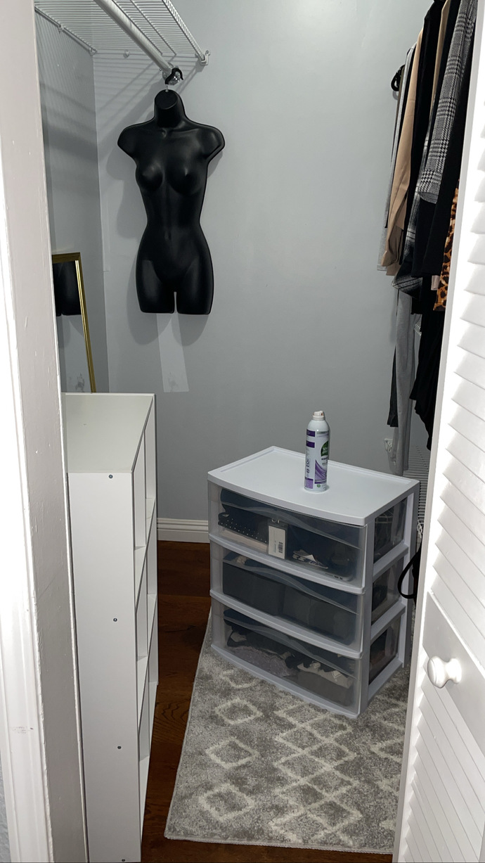 HELP HOW DO I REMOVE MOLD & WET MOISTURE FROM THE CLOSET?