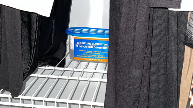 HELP HOW DO I REMOVE MOLD & WET MOISTURE FROM THE CLOSET?
