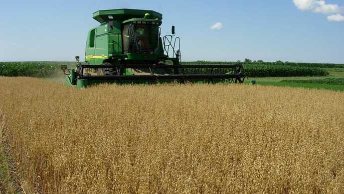 What is life, and when does it begin?