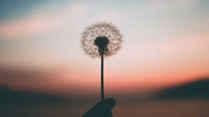 What is life, and when does it begin?