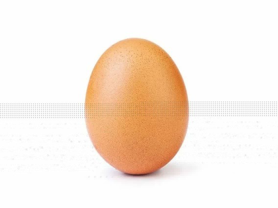 Why are eggs white in the USA?