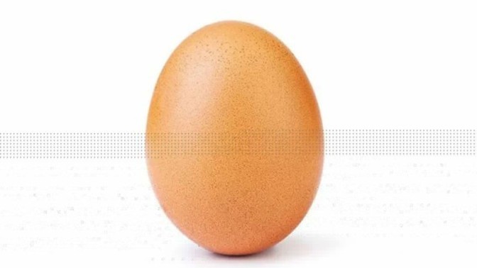 Why are eggs white in the USA?
