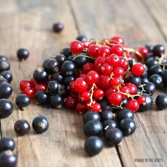 Red Currants or Black Currants? Which one is more delicious?
