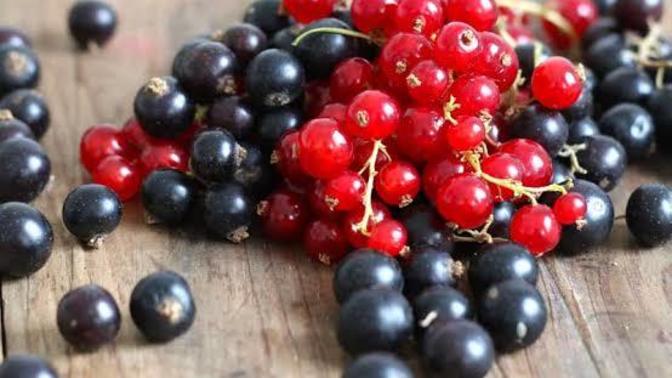 Red Currants or Black Currants? Which one is more delicious?