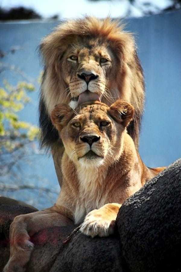 Would you judge a couple when a woman has short hair and a man has long hair?