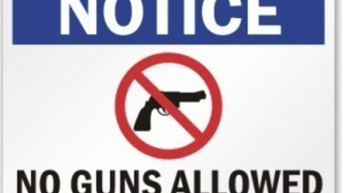 Does gun control endanger civilians?