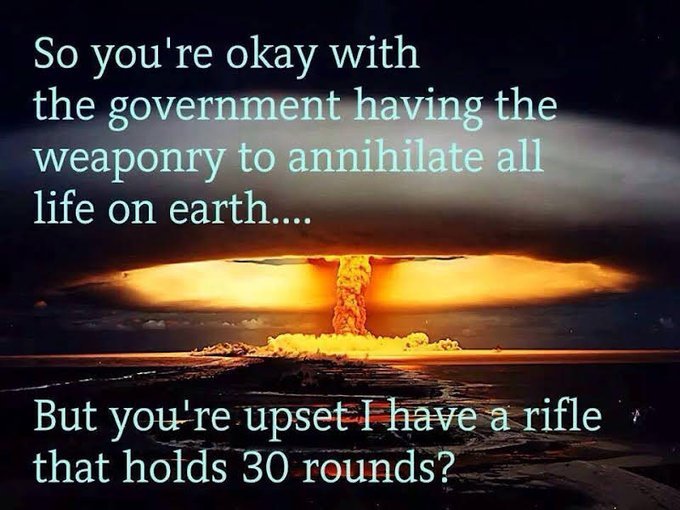 Isnt it funny how much gun control advocates trust the government?