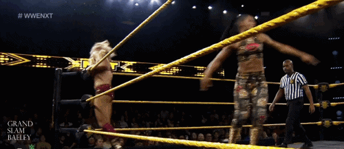 What's your WWE/AEW theme song?