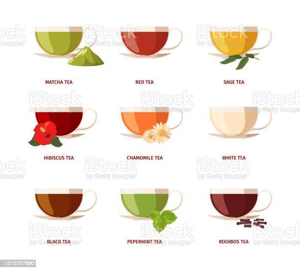 Do you like to drink Tea? What is your all time favorite Tea