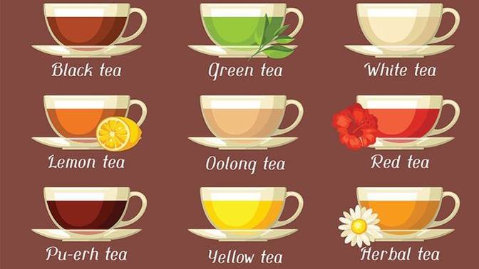 Do you like to drink Tea? What is your all time favorite Tea?