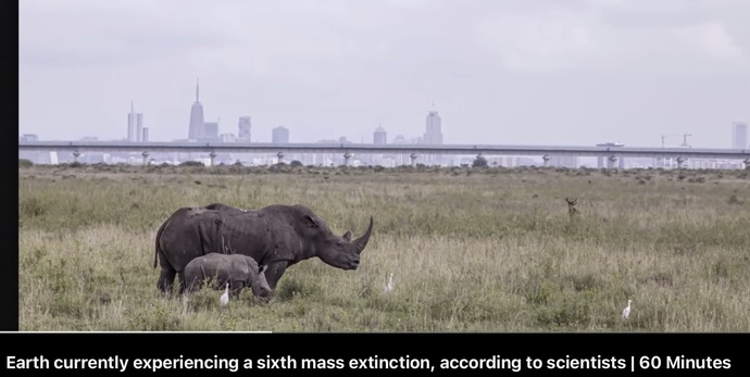 Think we’re in the Sixth Mass Extinction?