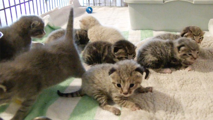 Why Do Karens Act Like Karens?