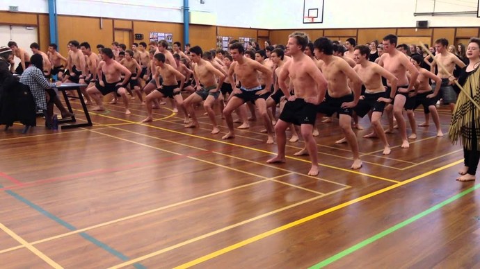What do you think of majority groups practising aspects of indigenous minorities cultures, in a public or educational setting?