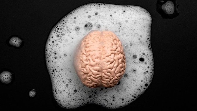 In what way are you potentially brainwashed or have been brainwashed?