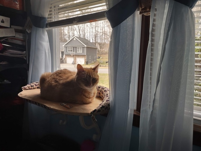 What are the small things that bring you joy?