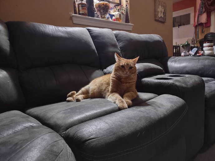 What are the small things that bring you joy?