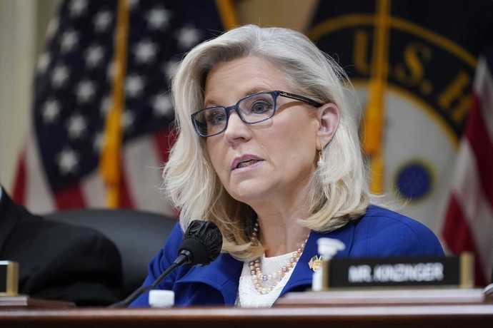 How would you feel if Democrats hypothetically nominated and voted Liz Chaney for Speaker of the House to overcome Republican holdouts?